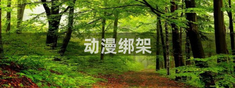 age动漫官网入口老版本：动漫绑架