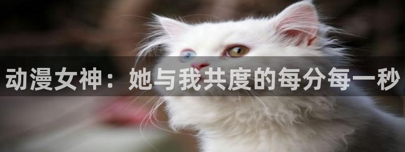 age动漫樱花：动漫女神：她与我共度的每分每一秒