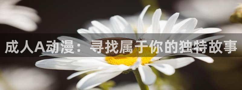 age动漫官网网址：成人A动漫：寻找属于你的独特故事