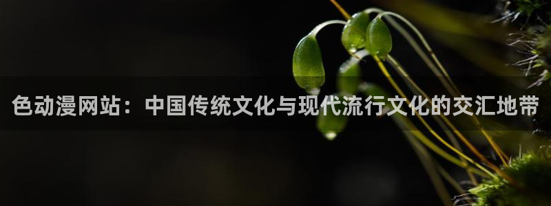 backstage韩漫免费观看：色动漫网站：中国传统文化与现代流行文化的交汇地带